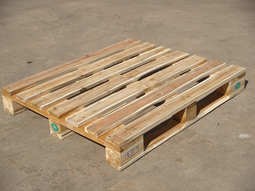 Pallet kho 100x120x16 cm