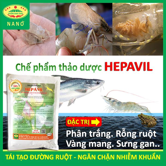 Chế phẩm thảo dược Hepavil