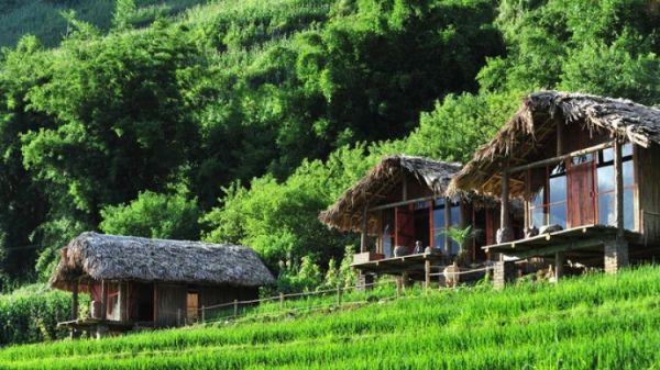 A Chu Homestay Mộc Châu – Trải Nghiệm Hòa Mình Trong Vẻ Đẹp và Bản Sắc Dân Tộc H' Mông - Mytour