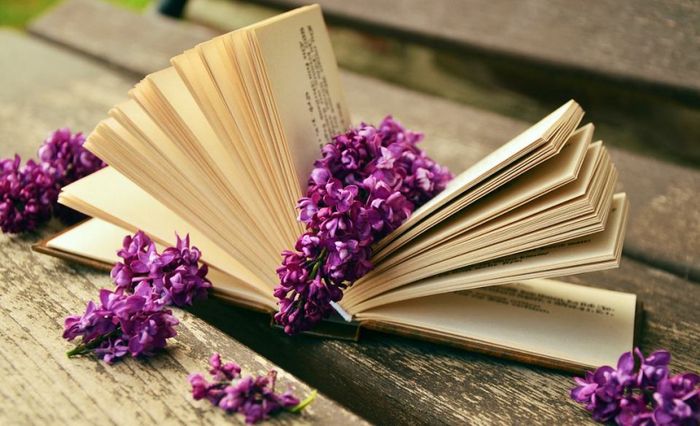 Châm Ngôn Cuộc Sống: Suy Ngẫm Về Bí Mật Hạnh Phúc Trong Việc Sống Chậm
