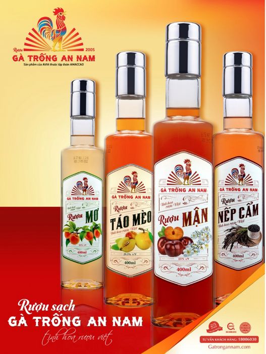 Khám Phá Thế Giới Đặc Biệt của https//avinaa.com/ - Nơi Cung Cấp Giải Pháp Sáng Tạo