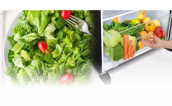 Tạo ra Vườn Vitamin với Tủ Lạnh Mitsubishi