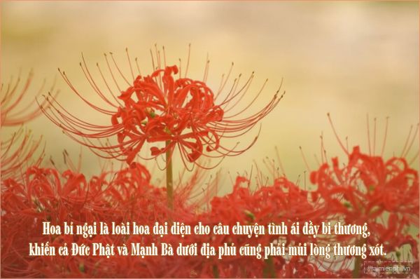 Khám Phá Về Hoa Bỉ Ngạn: Ý Nghĩa và Hình Ảnh Quyến Rũ