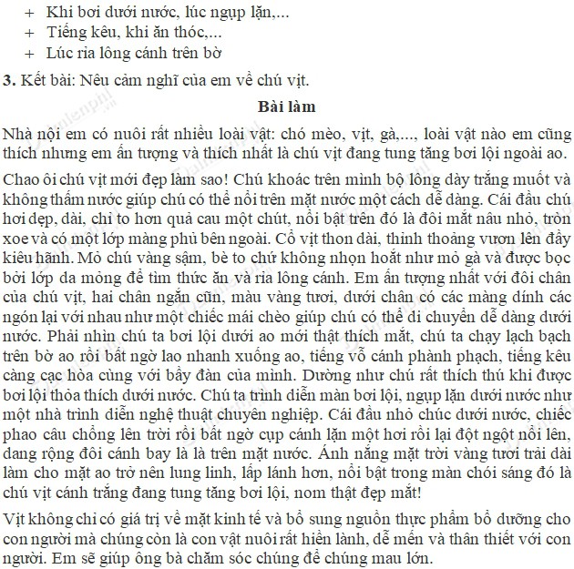 Tả bài văn tả con vật lớp 5 - Cách viết và bài mẫu sinh động