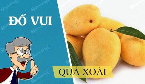 Câu đố về cây xoài - Khám phá bí mật qua từng câu hỏi thú vị