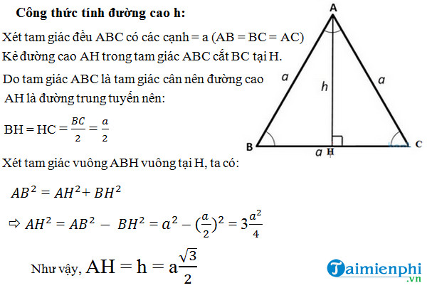 Tính Đường Cao của Tam Giác Đều: Cách Tính Nhanh, Đơn Giản và Hiệu Quả