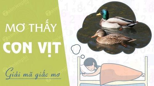 3. Nguồn Thông Tin Và Các Trang Web Đề Cập