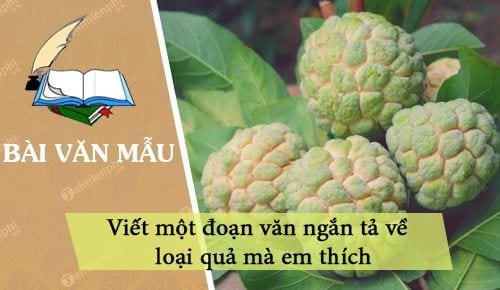 Tả một loại trái cây mà em thích ngắn gọn - Bài văn hay và sáng tạo