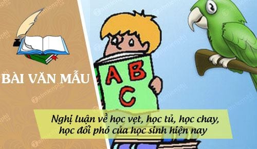 Viết bài văn nghị luận về học tủ học vẹt: Tác hại và giải pháp khắc phục