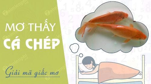 Ý Nghĩa Phong Thủy Và Tâm Linh Của Giấc Mơ Thấy Cá Chép