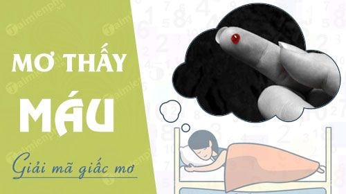 3. Giải Mã Giấc Mơ Thấy Máu Của Người Khác