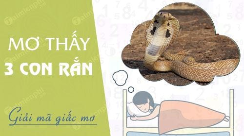 Nằm Mơ Thấy 3 Con Rắn Đánh Số Gì? Khám Phá Ý Nghĩa Và Điềm Báo