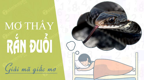 3. Con Số May Mắn Liên Quan Đến Giấc Mơ Thấy Rắn Đen