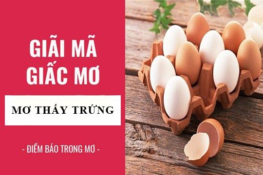 Mơ Thấy Gà Đẻ Trứng Ý Nghĩa và Dự Đoán Tương Lai