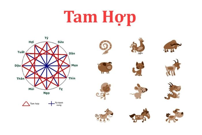 Con Rắn Tuổi Gì? Tìm Hiểu Tính Cách, Sự Nghiệp Và Tình Duyên Người Tuổi Rắn