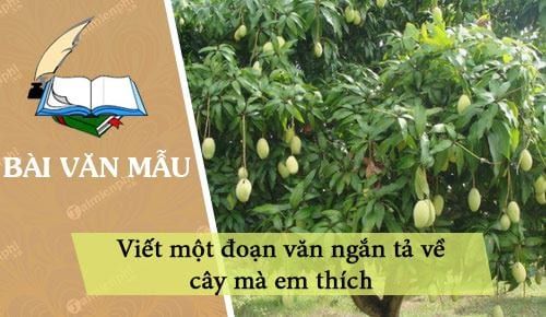 Viết một đoạn văn ngắn tả về - Tổng hợp các bài mẫu và hướng dẫn chi tiết