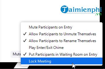 Unlocking the Mysteries of Zoom-bombing and Ensuring Safety on Zoom