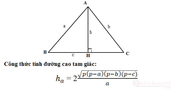 Tính cạnh trong tam giác thường: Hướng dẫn chi tiết và bài tập thực hành