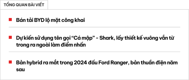 BYD Shark đối đầu với Ford Ranger, Toyota Hilux đã được tiết lộ công khai - Hình 1.