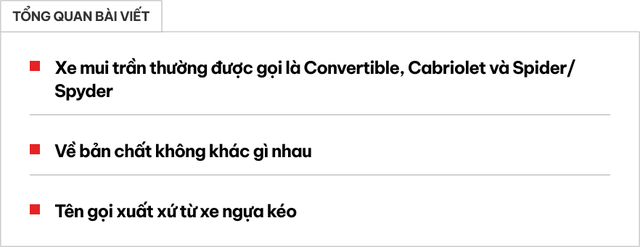 Tại sao nhiều phiên bản xe mui trần sử dụng hậu tố Spider? - Ảnh 1.