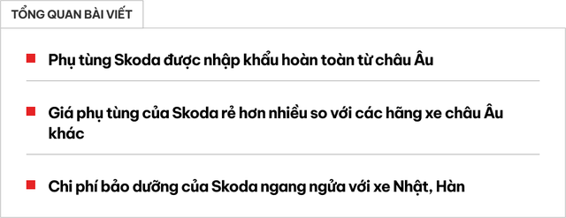 Skoda tiết lộ giá bảo dưỡng và phụ tùng: Ngang bằng xe Hàn, Nhật, có nguồn gốc được bảo chứng - Ảnh 1.