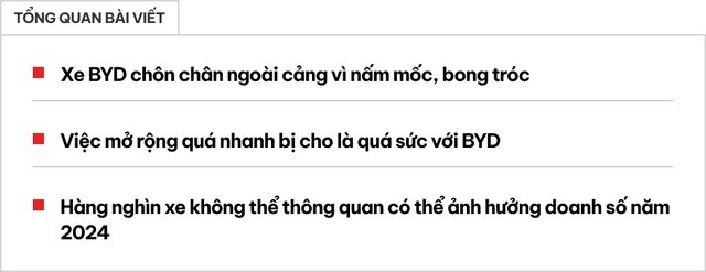 Lỗi lầm của hãng xe Trung Quốc muốn nhập khẩu vào Việt Nam có thể khiến Elon Musk 'mở rộng miệng cười': Hàng ngàn xe chất đống trong kho do cong vênh, mốc me - Ảnh số 1.