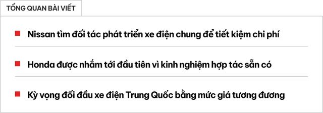 Nissan kết hợp với Honda để sản xuất xe điện giá rẻ, mong muốn thách thức xe điện Trung Quốc - Hình 1.