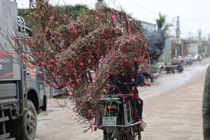 Khu du lịch Nhật Tân (phường Nhật Tân, quận Tây Hồ, Hà Nội) vừa được Ủy ban nhân dân thành phố Hà Nội công nhận là khu du lịch cấp thành phố theo Quyết định số 5642/QĐ-UBND. Phường Nhật Tân nổi tiếng với cảnh quan đẹp và khu vực trồng đào ở bãi sông Hồng là điểm du lịch hấp dẫn với nghề trồng đào có lịch sử hàng trăm năm. Ngoài ra, khu vực còn có các trang trại trồng hoa, đặc biệt là khu bãi đá sông Hồng.