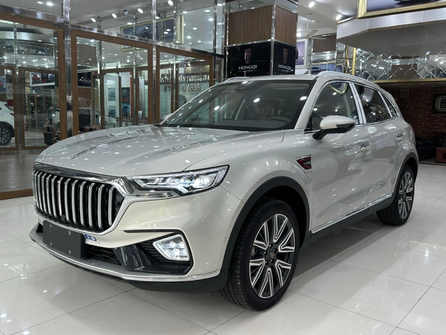 Lô xe Hongqi HS5 đầu tiên về Việt Nam: Nhiều tùy chọn cao cấp, chỉ chờ đợi mức giá cạnh tranh với Santa Fe - Ảnh 1.