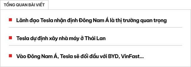 VinFast tại Mỹ quyết tâm giành ưu thế ở Đông Nam Á với việc xây dựng nhà máy mới, nhằm cạnh tranh trực tiếp với xe Trung Quốc - Ảnh 1.