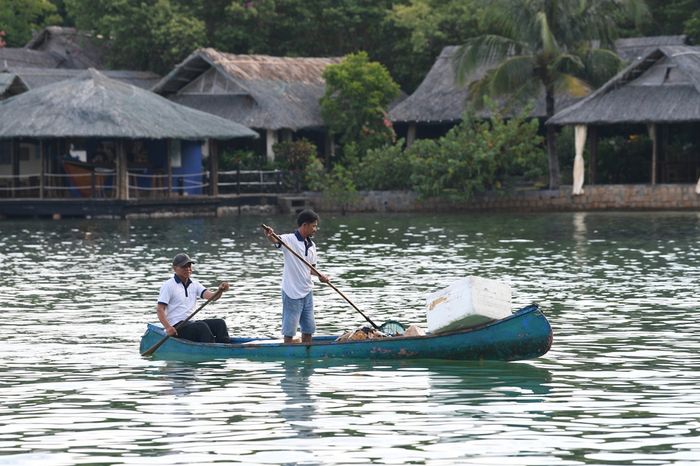 Cặp đôi Pháp - Việt biến một hòn đảo hoang thành 'thiên đường riêng tư': Quan sát cá voi từ xa, cả Forbes và CNN đều ca ngợi - Ảnh 5.