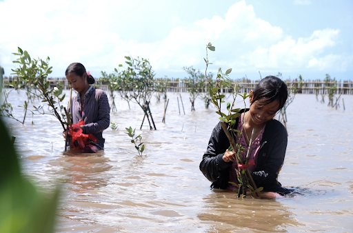 Đằng sau bức tranh của cậu bé lớp 4 với dòng chữ 'Không Chặt Cây': Chúng tôi rất thích khám phá rừng và biển! - Ảnh 1.