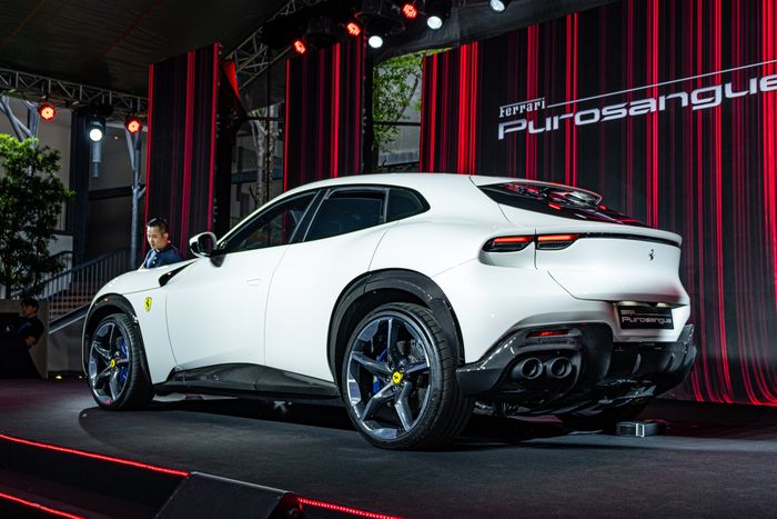 Ferrari Purosangue ra mắt tại Việt Nam: Giá từ khoảng 40 tỷ, đủ mua gần 3 chiếc Lamborghini Urus - Ảnh 2.