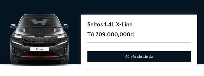 Tiết lộ hình ảnh và trang bị mới của Kia Seltos tại Việt Nam: Giá 709 triệu gần bằng CX-5, độ tiện nghi cao cấp - Ảnh 1.