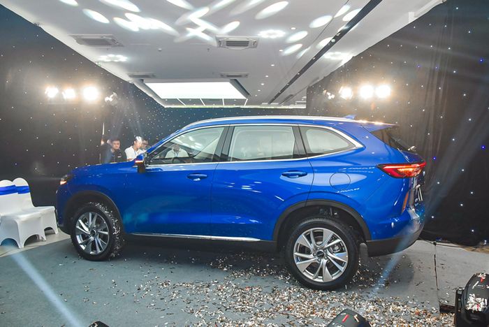 Shark Hưng chính thức hợp tác với thương hiệu Haval, tuyên bố: 'H6 là chiếc xe có giá trị cho người Việt' - Xem Ảnh 3.