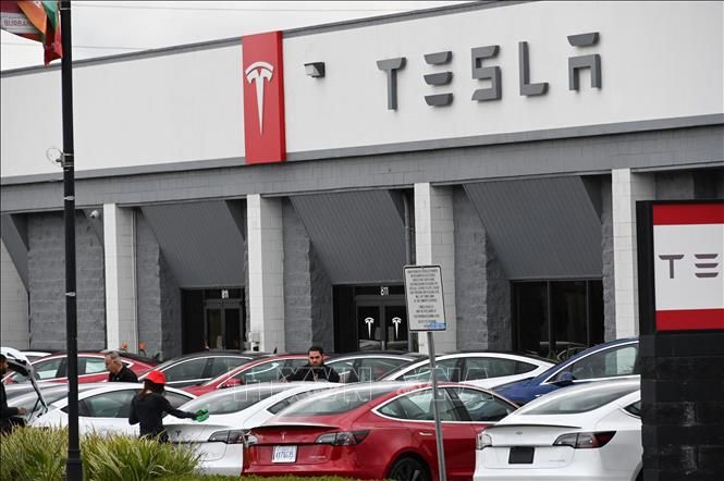 Tesla tăng giảm giá cho Model 3 và Model Y - Ảnh 1.