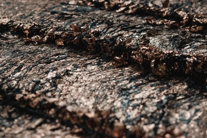 Ô tô điện đang phát triển mạnh mẽ, nhưng việc tái chế pin vẫn còn lâu - Ảnh 6.