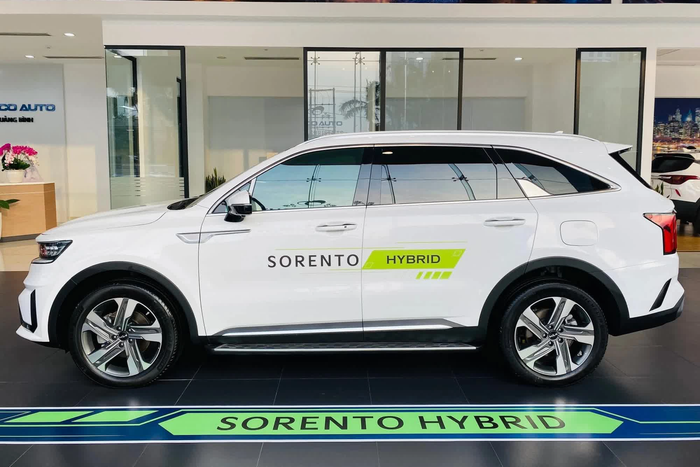 Sự bùng nổ của xe hybrid tại Việt Nam trong năm 2022: Thậm chí cả mẫu xe 'hot' Santa Fe cũng phải tham gia cuộc chơi - Ảnh 3.