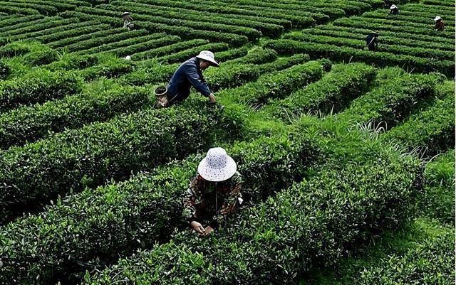 Một người đàn ông đi trước Elon Musk tới 20 năm, bán cả đất đai và nhà máy rồi nhận lấy thất bại đau đớn trong cuộc đua xe điện: Tưởng tạo ra bom tấn, cuối cùng phá sản vì nợ nần - Ảnh 1.