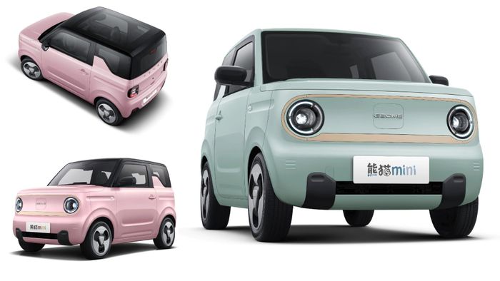 Xe điện nhỏ xinh, Panda Mini EV, cũng được trang bị đèn pha LED tròn giống như đôi mắt của gấu trúc, hai gương chiếu hậu tương tự đôi tai, và bộ vành xe tái tạo dấu ấn của bàn chân. Trên lưới tản nhiệt, Panda Mini EV mang thương hiệu phụ 'Geome', là biểu tượng của Geely.