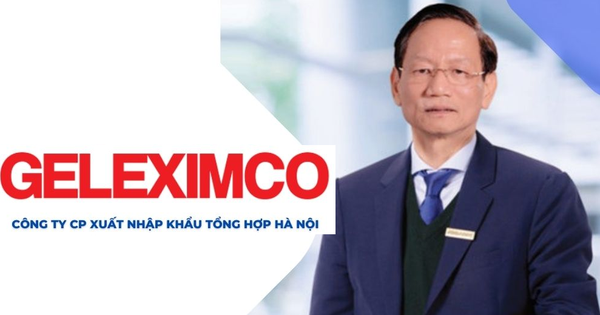 Geleximco trước khi tham gia lĩnh vực ô tô: hệ sinh thái rộng lớn từ bất động sản, tài chính, điện lực đến chăn nuôi lợn và trồng vải thiều - Hình 1.