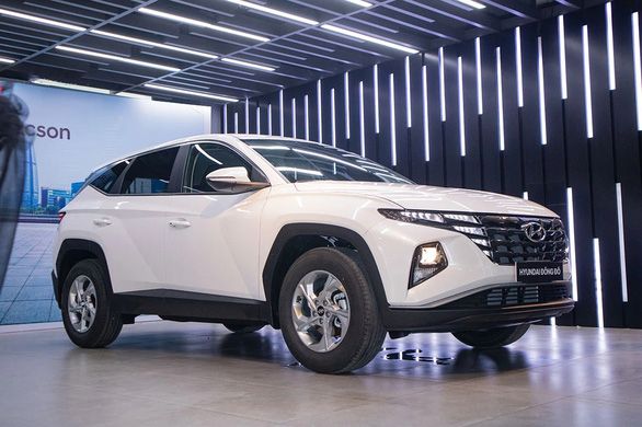 Người tiêu dùng Việt bày tỏ sự bực bội nhưng vẫn mua các loại ô tô 'kèm theo phụ kiện đắt tiền' - Hình 3.