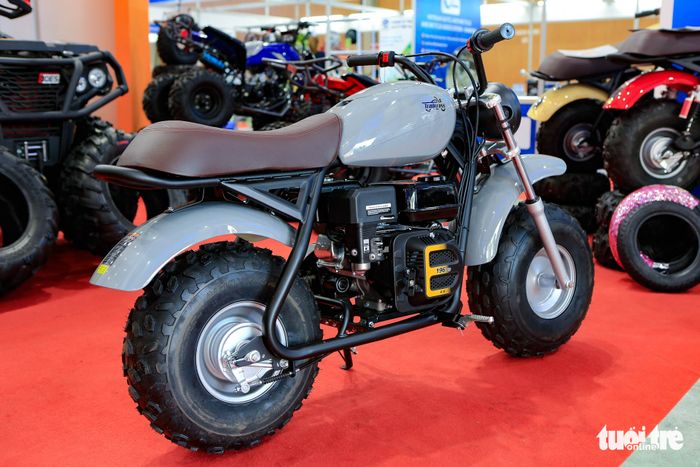 Xe máy nhỏ xuất khẩu Mỹ của người Việt: 200 phân khối, tốc độ tối đa 32km/h, giá dưới 20 triệu đồng - Ảnh 8.