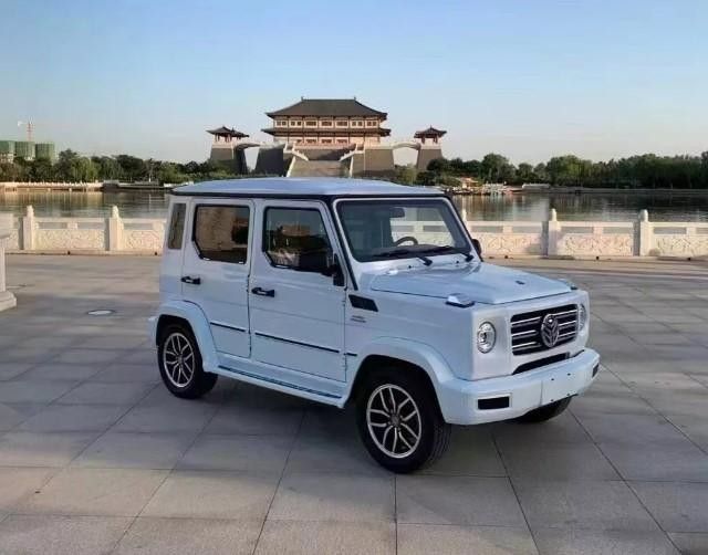 Xe Trung Quốc thi nhau sao chép kiểu dáng của Mercedes-AMG G 63 - Ảnh 1.