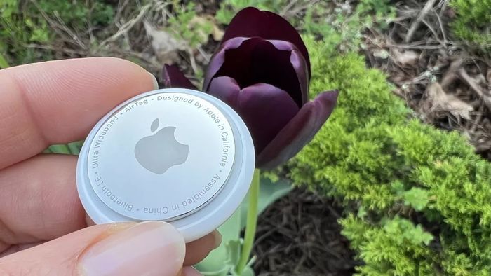 Cảnh sát gợi ý cách ngăn chặn việc mất cắp ô tô bằng một thiết bị Apple phổ biến - Hình ảnh 1.