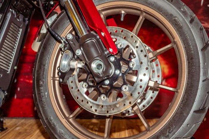 Thưởng thức chiếc Harley-Davidson với lớp sơn trị giá 200 triệu đồng - Ảnh 5.