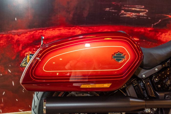 Thưởng thức chiếc Harley-Davidson Low Rider El Diablo hiếm có chỉ có 3 chiếc tại Việt Nam, có giá 1,039 tỷ đồng - Ảnh 6.