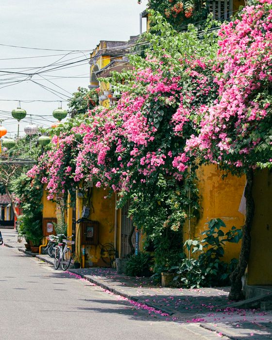 Chàng trai thập kỷ 90 đam mê du lịch và đã khám phá 30 tỉnh thành của Việt Nam: Du lịch là cách đầu tư cho bản thân không bao giờ lỗ - Ảnh 8.