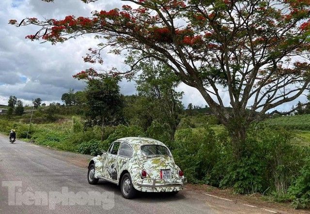 Xế cổ Volkswagen Beetle với biển số ấn tượng tại Đà Lạt - Hình 4.