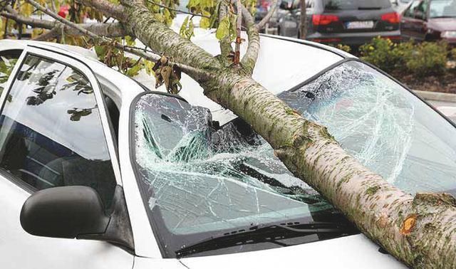 Trong thời tiết biến đổi, muốn bảo vệ xe tốt nhất là tránh đậu xe ở 3 nơi này: Không cẩn thận dễ gây hỏng xe hoặc mất tiền oan vì chết máy. - Ảnh 1.